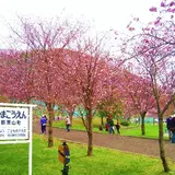 栗山公園