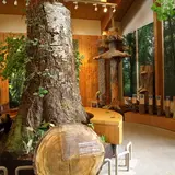 支笏湖ビジターセンター
