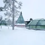 ゴールデンクラウン レビン イグルート