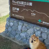 辺戸岬