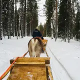 Levi Lapland Safaris Safari Club