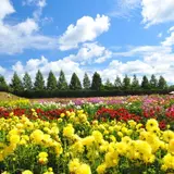 世羅高原農場