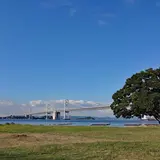 沙弥島