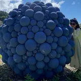 REBORN ART FESTIVAL
