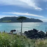 牡鹿半島