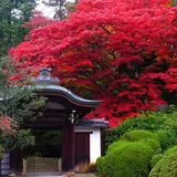 栄摂院