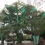 丟丟当森林