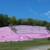 太陽の丘えんがる公園
