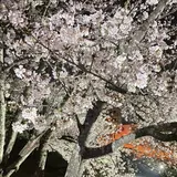 徳島中央公園