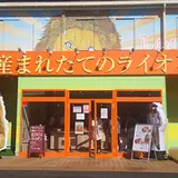 産まれたてのライオン