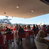 MCA Cafe