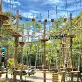 Owl Adventure （アウルアドベンチャー）