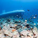 Atlantis Submarines Maui
