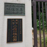 小石川植物園