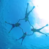ジャングルダイブ