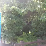 寝屋川公園