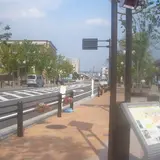 駅前大通りさわやかロード