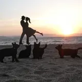 神川ビーチ 影絵の祭典