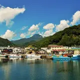 羅臼港