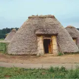 三内丸山遺跡 竪穴建物（復元）