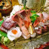 達磨家-高知のうまいもん居酒屋-