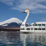 山中湖の白鳥の湖