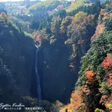 震動の滝
