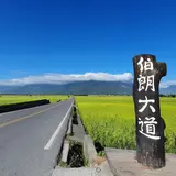 Takeshi Kaneshiro Tree