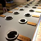 坪林茶業博物館