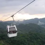 猫空観光茶園