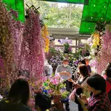 台北市建国仮日花市