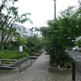 楠根川跡緑陰歩道