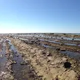 鵜ノ崎海岸