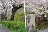 白川疏水通り