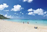 新城海岸