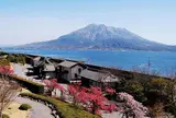 仙巌園