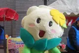 ひらちゃん