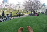 六本木ヒルズ