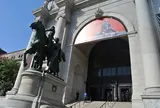 アメリカン・ミュージアム・オブ・ナチュラル・ヒストリー