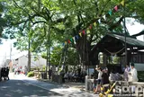 菊池松囃子能場