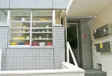 黄魚