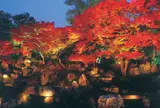 圓徳院