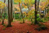 祇王寺