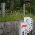 ねねの道の写真_293295
