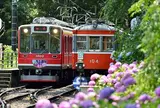 箱根登山鉄道
