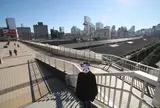パンダ橋