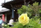 神宮寺＜7番―8番＞※神宮寺は88カ所札所ではありません