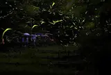 定光寺ほたるの里