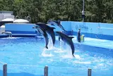 マリンピア日本海
