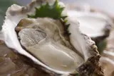 横丁 いかだ荘